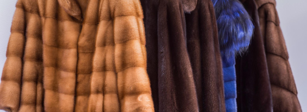 Как правильно хранить шубу дома: от моли, влаги и деформации